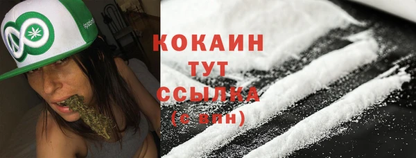 скорость Гусь-Хрустальный