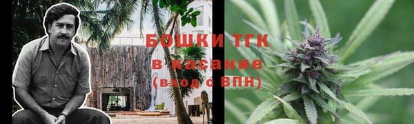 ешки Гусев
