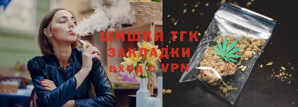 ешки Гусев