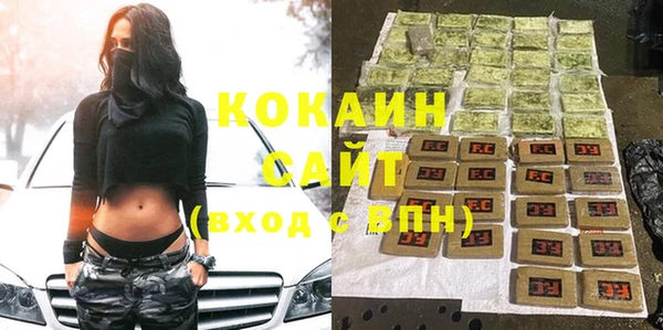 ешки Гусев
