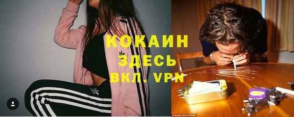 бошки Дмитриев