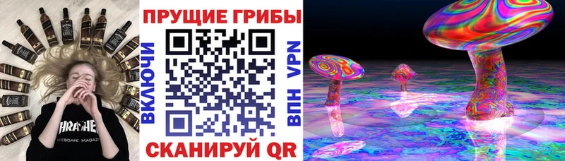 Купить закладки  Радужный  Галлюциногенные грибы мицелий 